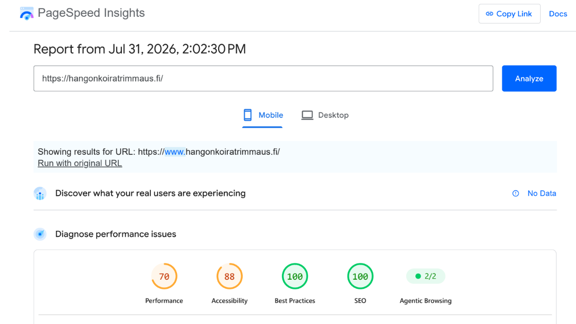 Hangon Koiratrimmauksen mobiilin PageSpeed Insights -tulos ennen uudistusta 31.7.2026: suorituskyky 70/100 ja saavutettavuus 88/100.