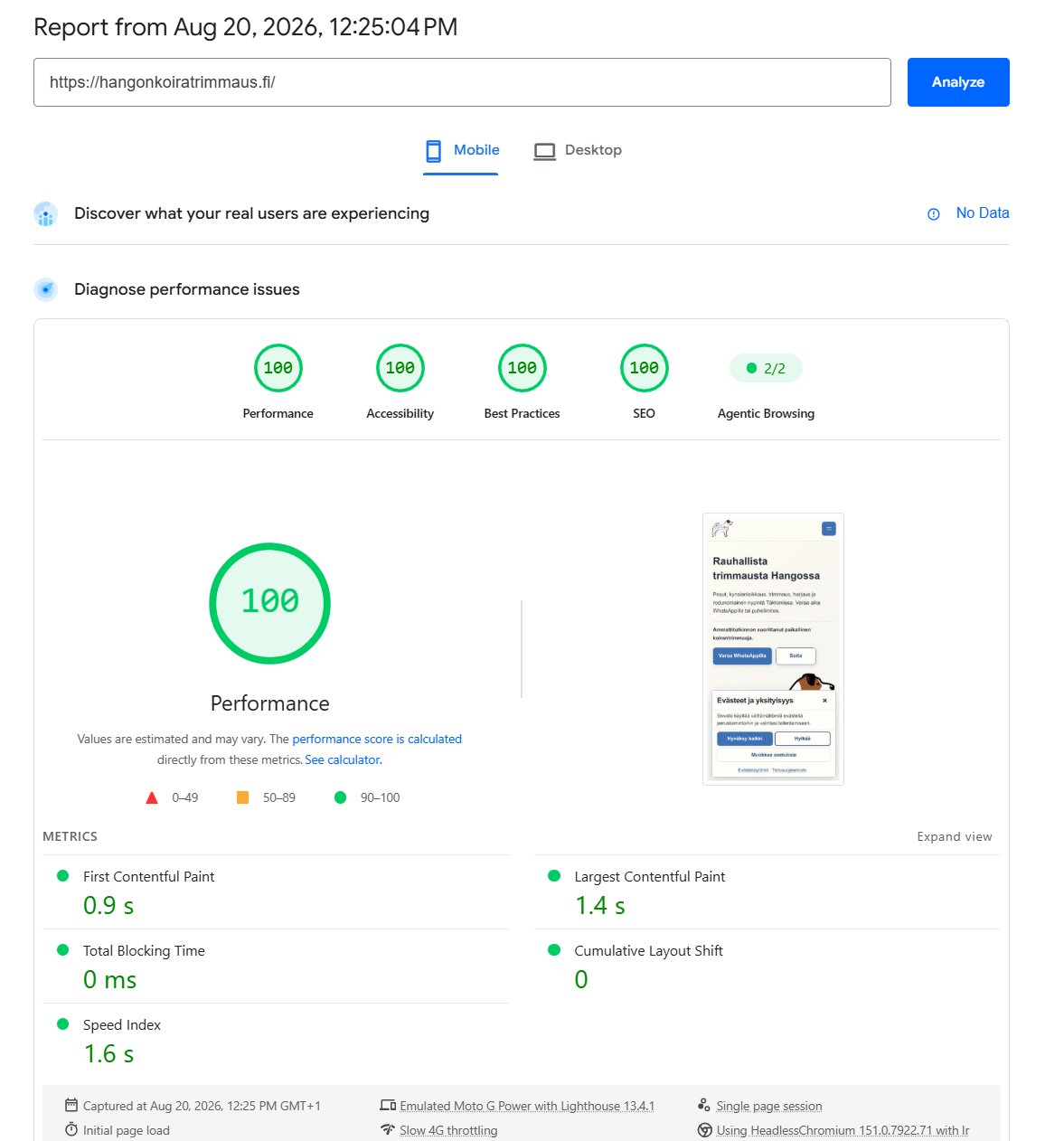 Hangon Koiratrimmauksen mobiilin PageSpeed Insights -tulos uudistuksen jälkeen 20.8.2026: kaikki neljä pääpistettä 100/100.